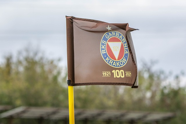 尔的未来恢 尔的未来恢