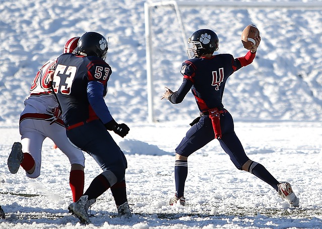 或将赛季报 或将赛季报