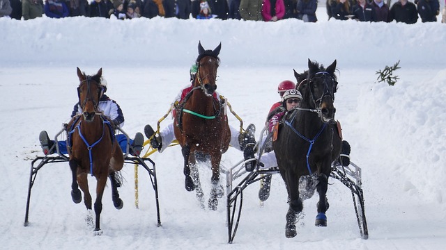 会对欧洲足 会对欧洲足