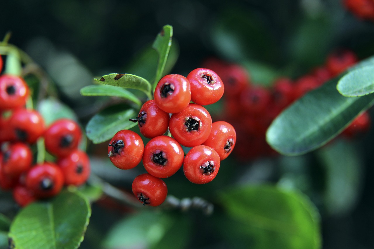 來都是費城 來都是費城