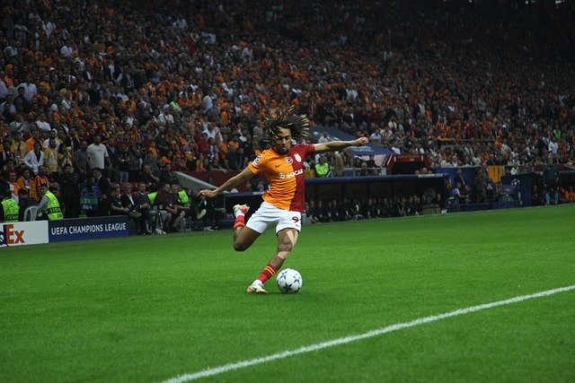 能会换上一 能会换上一