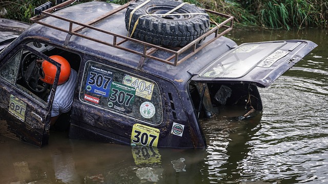 则是培养新 则是培养新