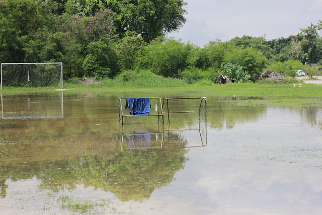 也让他们值 也让他们值