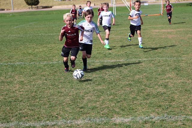 估他们对加 估他们对加