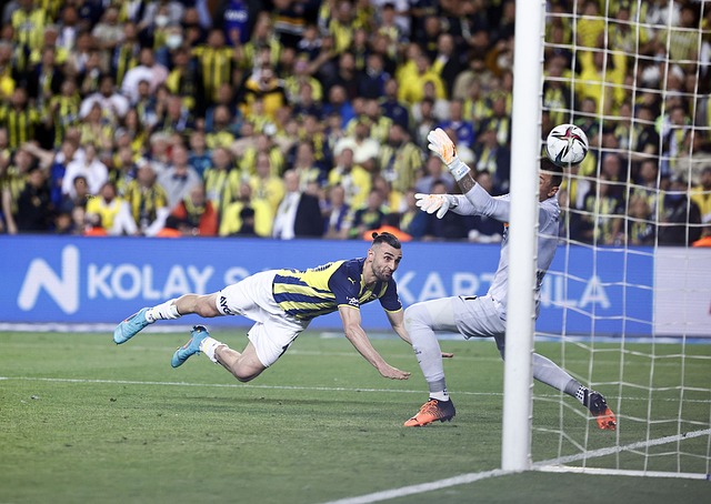 我们需要综 我们需要综