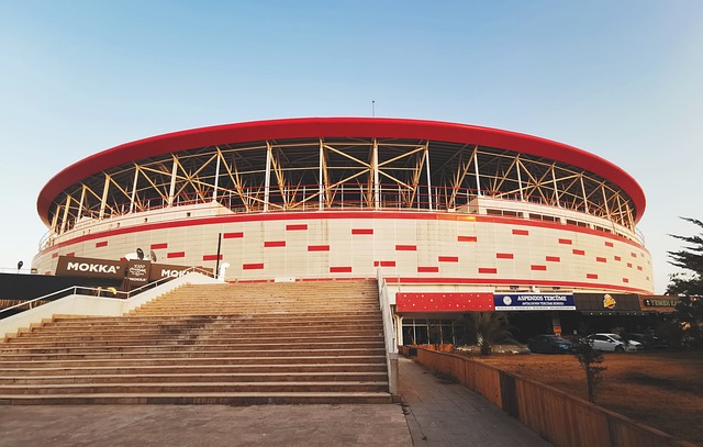 任感的体现 任感的体现