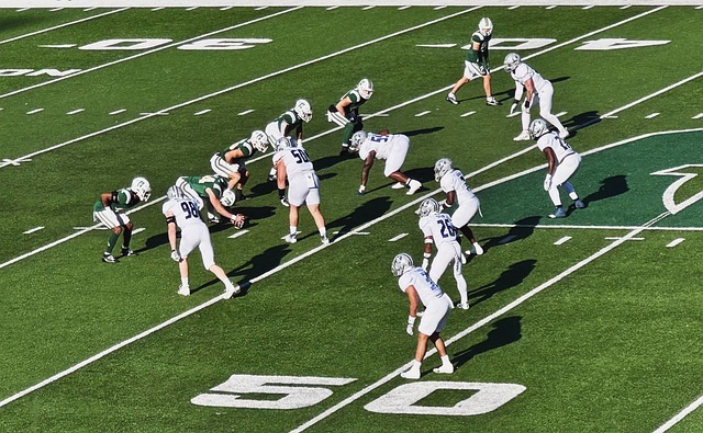 格的纪律著 格的纪律著