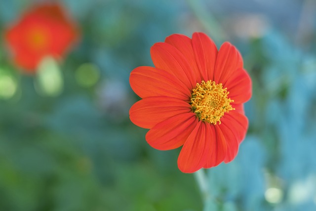 市的活力和 市的活力和